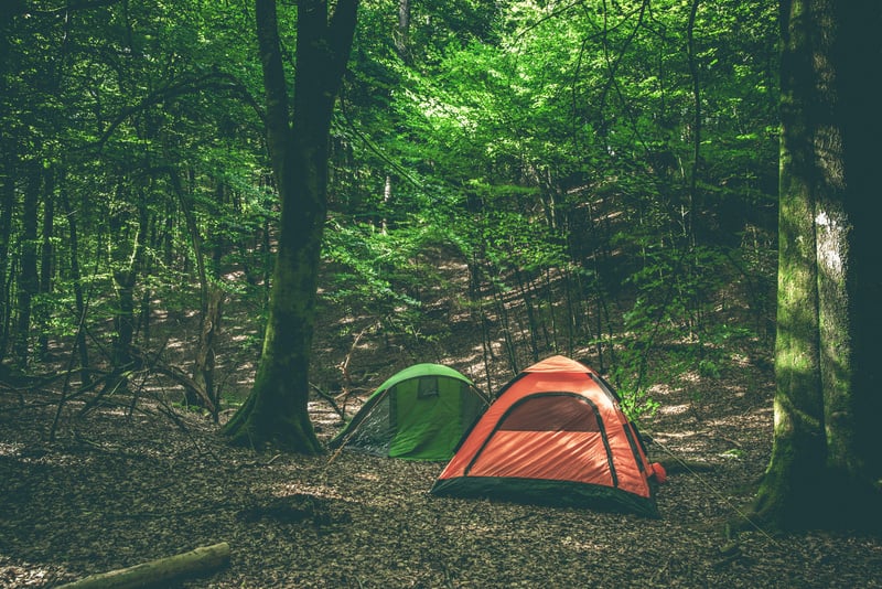 Camping site with two tents